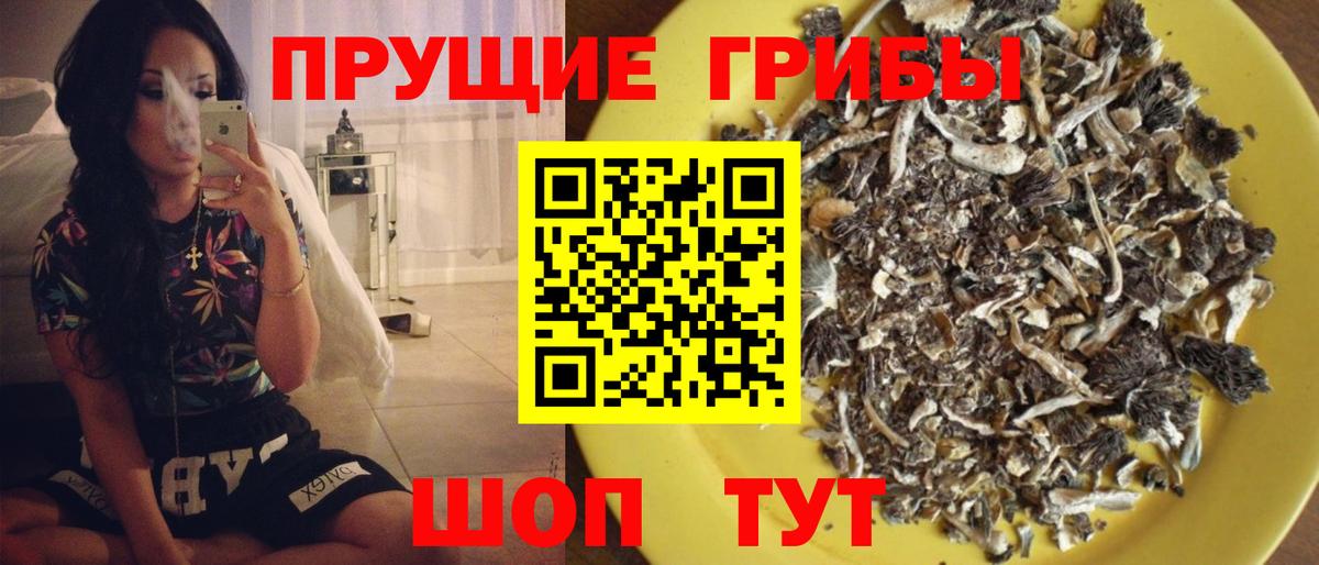 Галлюциногенные грибы Psilocybine cubensis  Вход с VPN  Дивногорск  Галлюциногенные грибы Magic Shrooms 